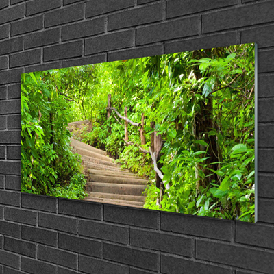 Acrylic Print Stairs nature brown green