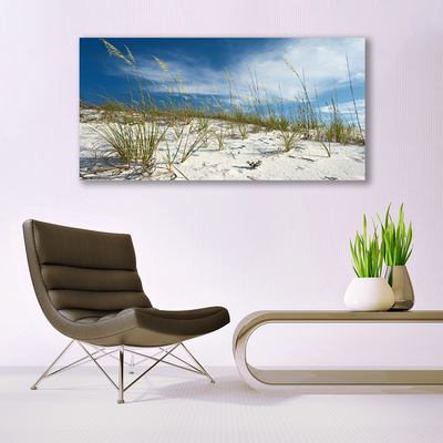 Acrylic Print Beach landscape brown green