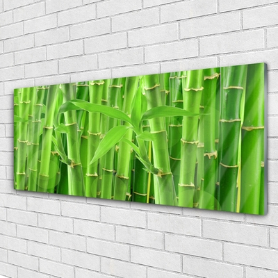 Acrylic Print Bamboo stalk floral green