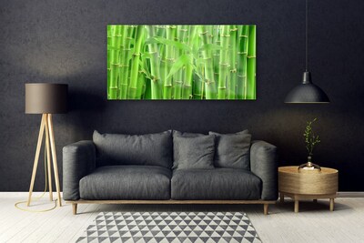 Acrylic Print Bamboo stalk floral green