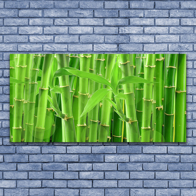 Acrylic Print Bamboo stalk floral green