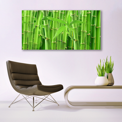 Acrylic Print Bamboo stalk floral green