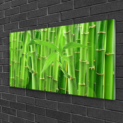 Acrylic Print Bamboo stalk floral green