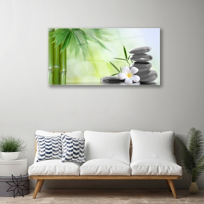 Acrylic Print Bamboo stalk flower stones art green white black