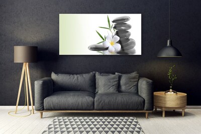 Acrylic Print Flower stones art white black