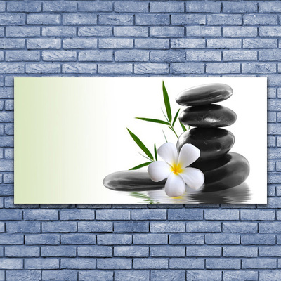 Acrylic Print Flower stones art white black