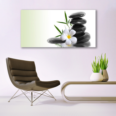 Acrylic Print Flower stones art white black