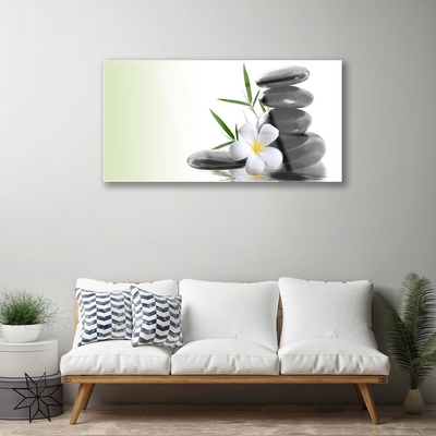 Acrylic Print Flower stones art white black