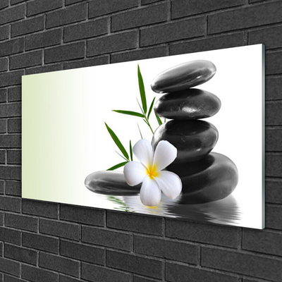 Acrylic Print Flower stones art white black