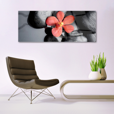 Acrylic Print Flower stones art red grey