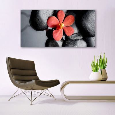 Acrylic Print Flower stones art red grey