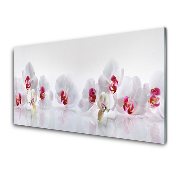 Acrylic Print Flowers floral white red