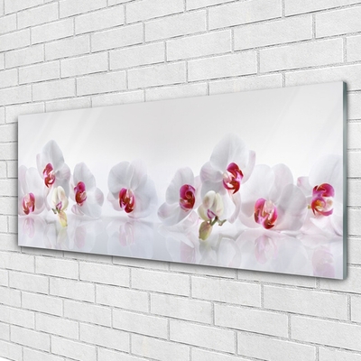 Acrylic Print Flowers floral white red