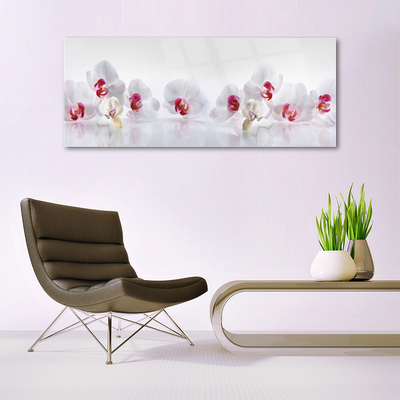Acrylic Print Flowers floral white red