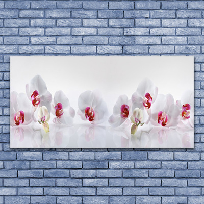 Acrylic Print Flowers floral white red