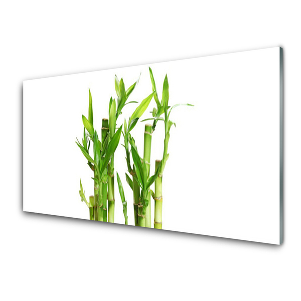 Acrylic Print Bamboo stalks floral green