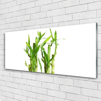 Acrylic Print Bamboo stalks floral green