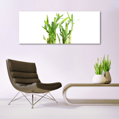 Acrylic Print Bamboo stalks floral green