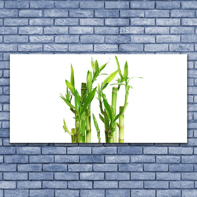 Acrylic Print Bamboo stalks floral green