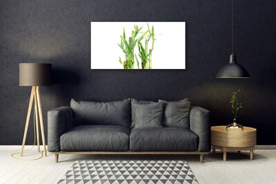 Acrylic Print Bamboo stalks floral green