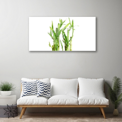 Acrylic Print Bamboo stalks floral green