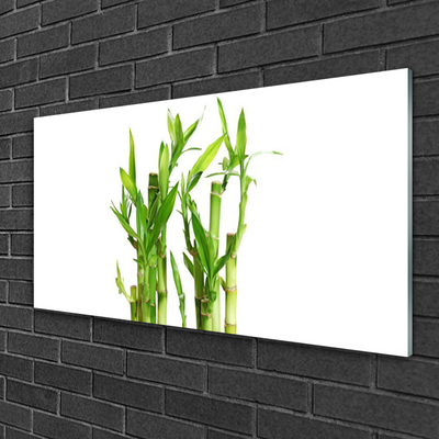 Acrylic Print Bamboo stalks floral green