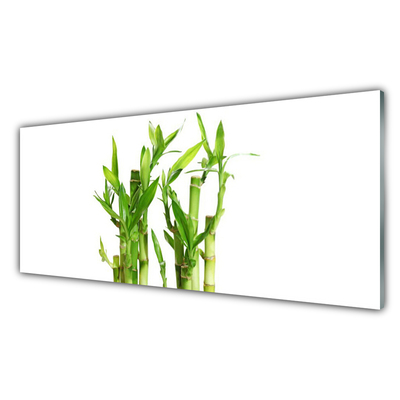 Acrylic Print Bamboo stalks floral green