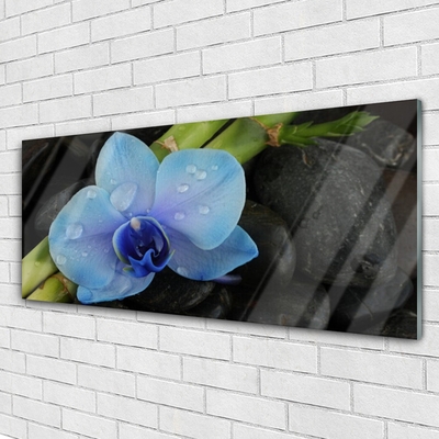 Acrylic Print Flower stones floral purple black