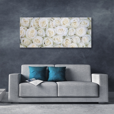 Acrylic Print Roses floral white