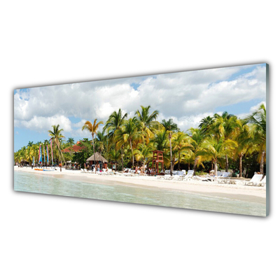 Acrylic Print Beach palm trees landscape brown green