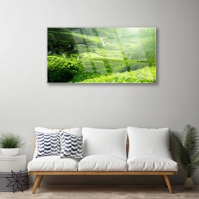 Acrylic Print Meadow nature green