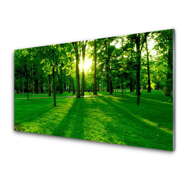 Acrylic Print Forest nature brown green