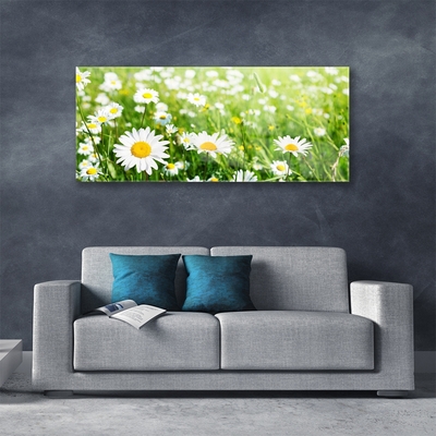 Acrylic Print Daisy floral white yellow green