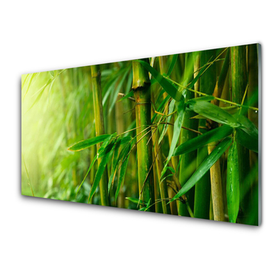 Acrylic Print Bamboo stalks floral green