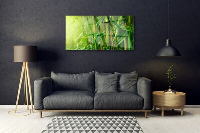 Acrylic Print Bamboo stalks floral green