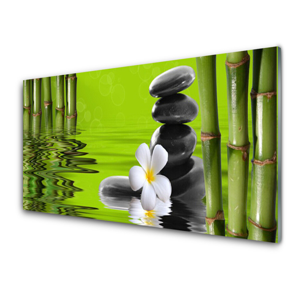 Acrylic Print Bamboo tube flower stones art green black white