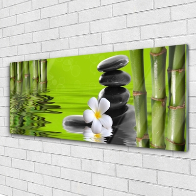 Acrylic Print Bamboo tube flower stones art green black white