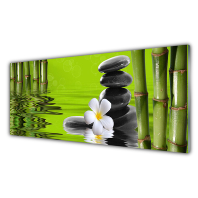 Acrylic Print Bamboo tube flower stones art green black white