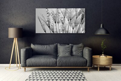 Acrylic Print Dandelion floral grey