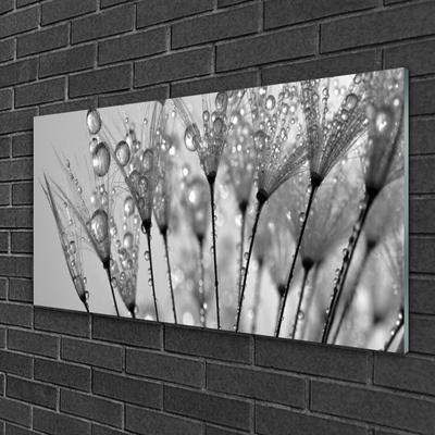 Acrylic Print Dandelion floral grey