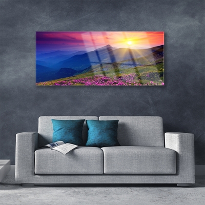 Acrylic Print Mountains flower meadow landscape blue pink green yellow