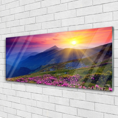 Acrylic Print Mountains flower meadow landscape blue pink green yellow