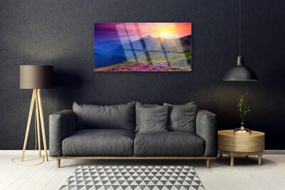 Acrylic Print Mountains flower meadow landscape blue pink green yellow