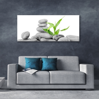 Acrylic Print Stones leaves art grey green