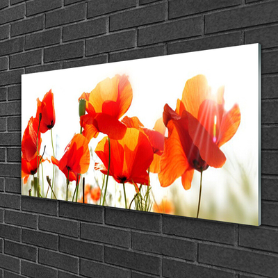 Acrylic Print Poppies floral red yellow