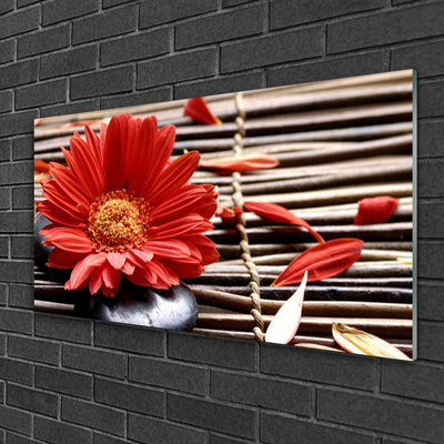 Acrylic Print Flower floral red yellow