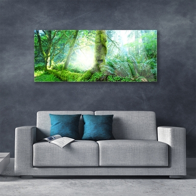 Acrylic Print Forest nature green