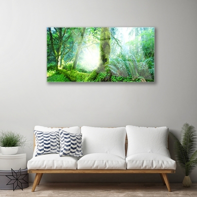 Acrylic Print Forest nature green