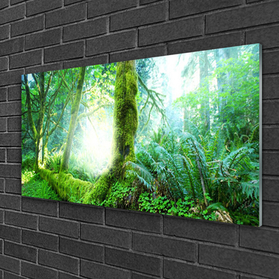 Acrylic Print Forest nature green