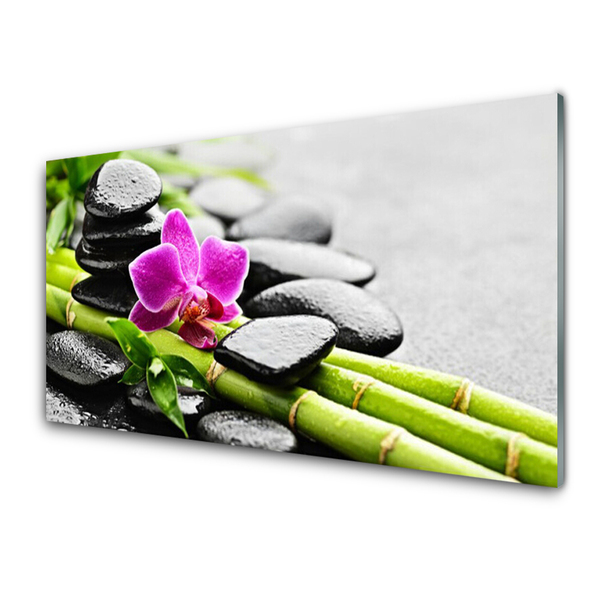 Acrylic Print Bamboo tube flower stones art green red black